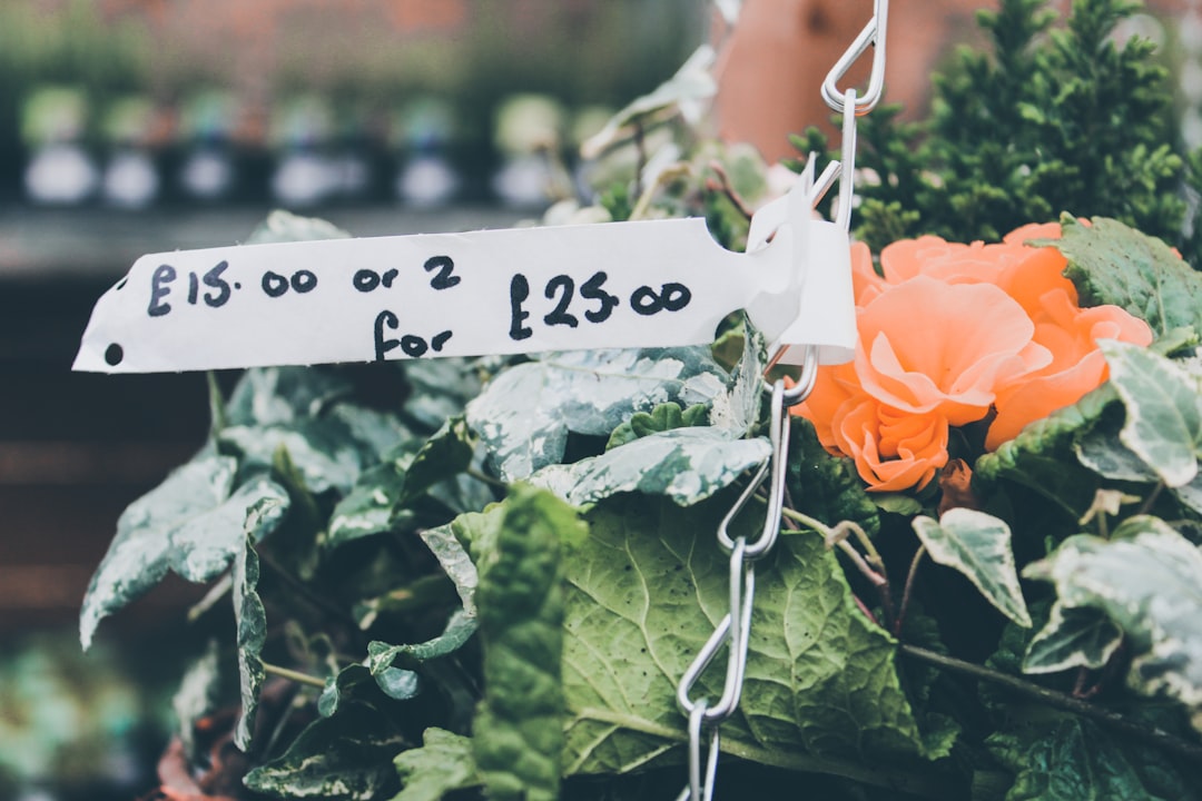 pricing comparison