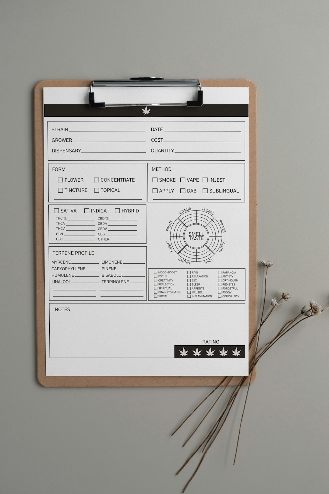 invoice review related to microneedling clinic pricing